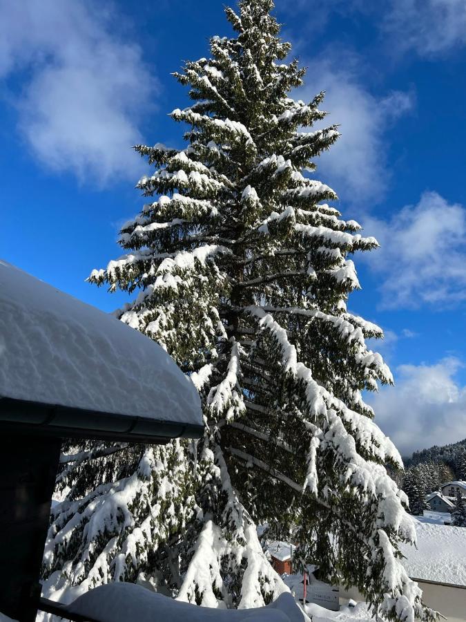 Entire Cozy Chalet In St-Cergue - 30 Min From Geneva Saint-Cergue Eksteriør bilde